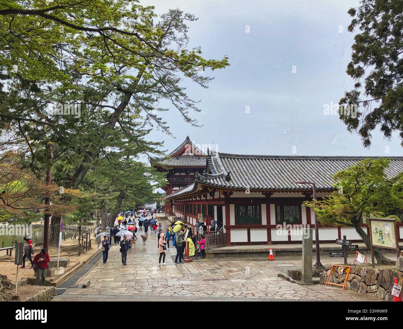 People walking with umbrellas with deers among them near the gate to Todaiji temple in Nara Park, Japan. - Smartphone Captured Stock Image