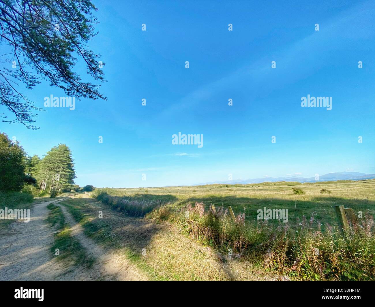 The Newborough Warren nature reserve on the edge of Newborough Forest, Anglesey, Gwynedd, North Wales, UK - Smartphone Captured Stock Image