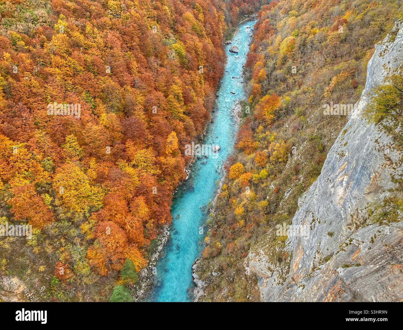 Amazing autumn in Tara National Park, Serbia - Smartphone Captured Stock Image