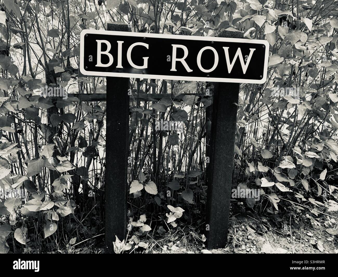 Big Row street sign- black and white Stock Photo