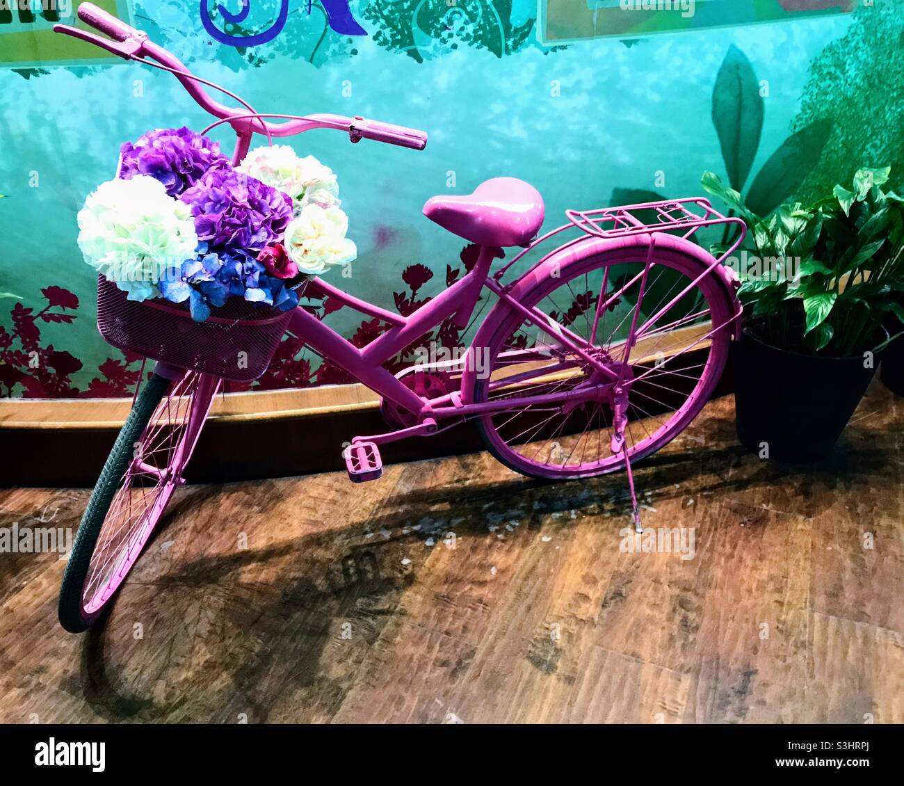Pink Bike with flowers Stock Photo