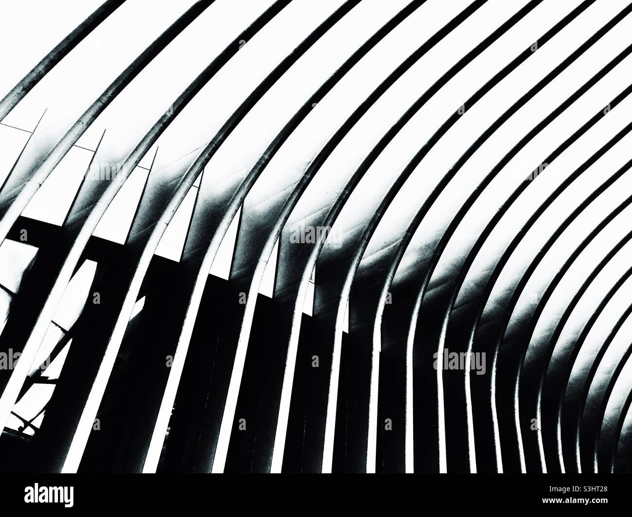 The Oculus - Details Stock Photo