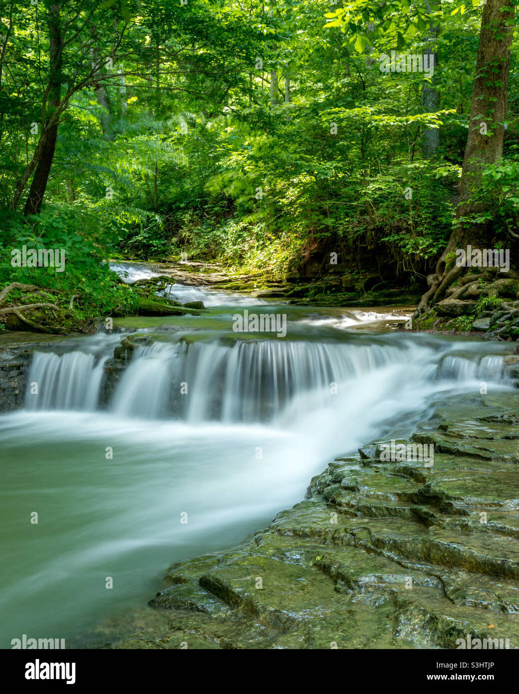 Gorgeous waterfall on a summer day in Saunders Springs, Radcliff, KY, which is just outside of Fort Knox.  Shoot with a slow shutter speed to have motion blur on the water. Stock Photo