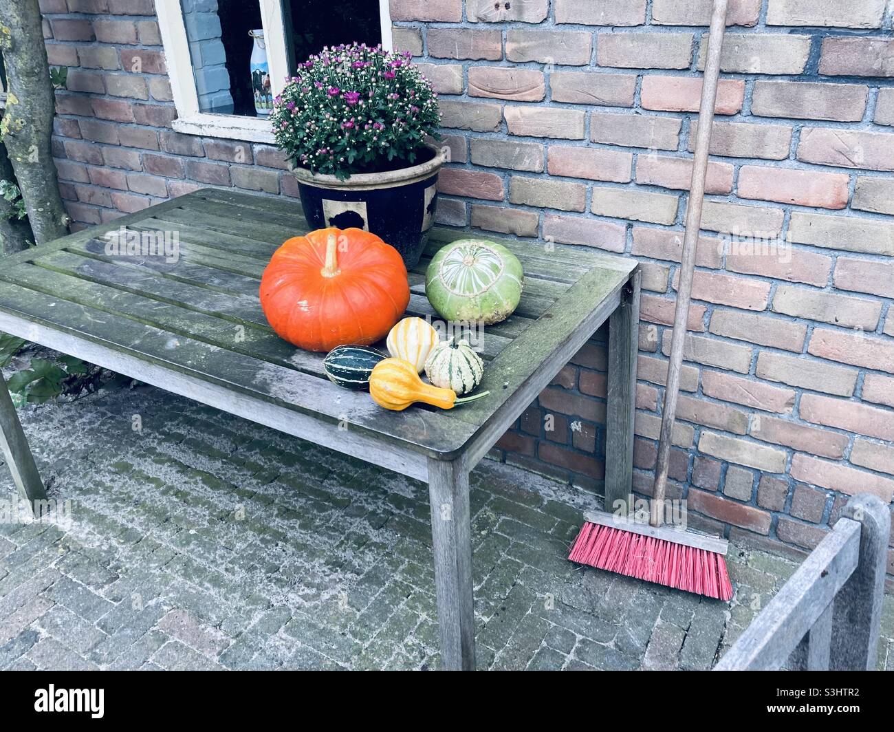 orange pumpkin outshines the arrangement on the table - Smartphone Captured Stock Image
