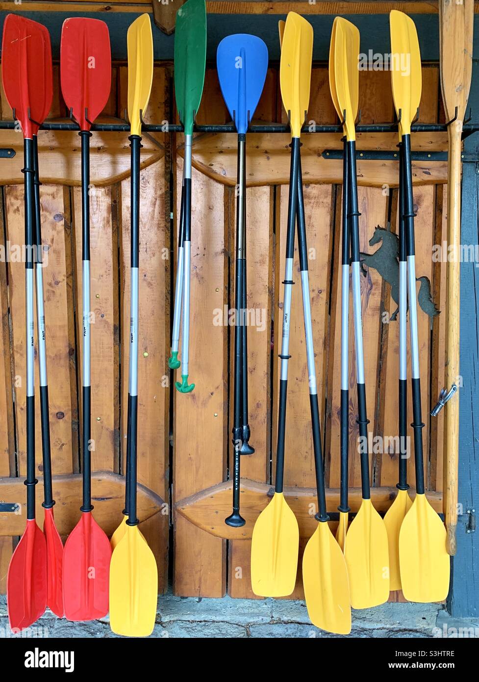 Group of colorful kayak paddles - Smartphone Captured Stock Image