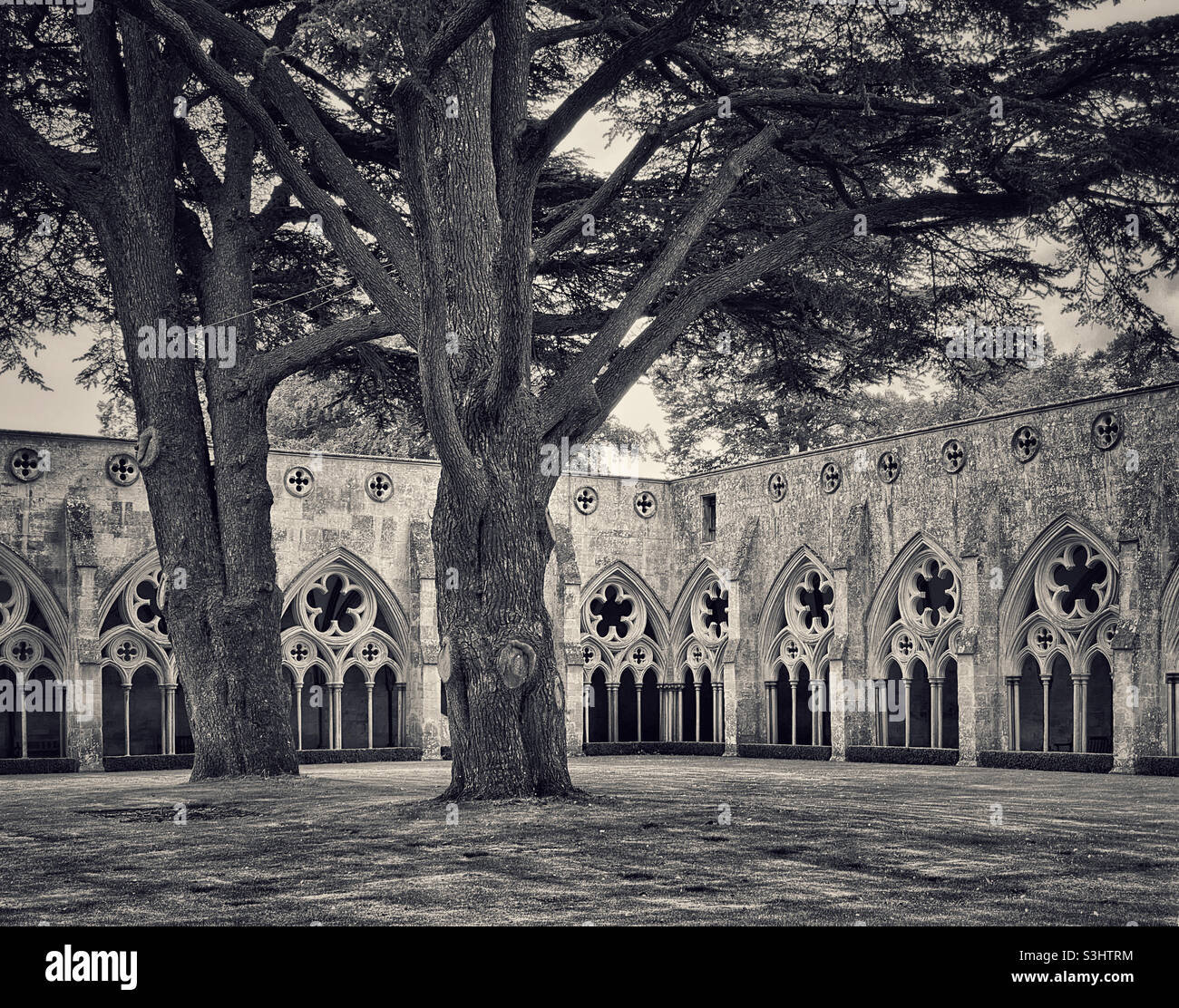 The cloisters of Salisbury Cathedral in Wiltshire, England are the largest cloisters in Britain. The cathedral was built between 1220 & 1258 with the cloisters added in the late 13th century. Photo ©️ - Smartphone Captured Stock Image