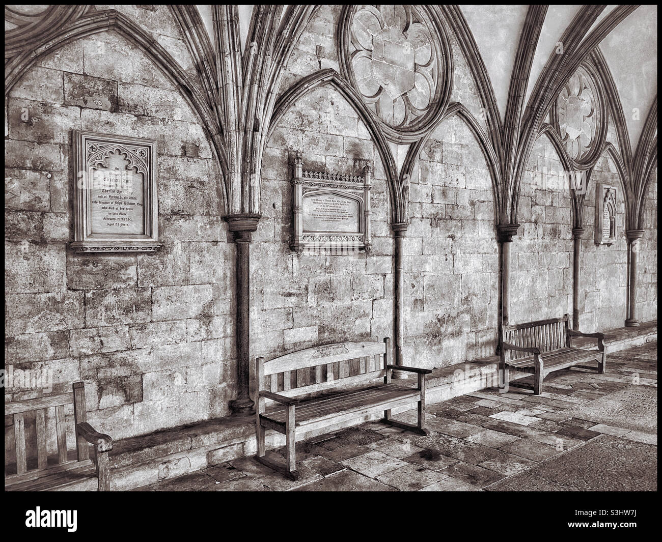 Empty benches in the cloisters area of Salisbury Cathedral, Wiltshire, England. This area is probably the largest Cloisters area in England. Photo ©️ COLIN HOSKINS. - Smartphone Captured Stock Image