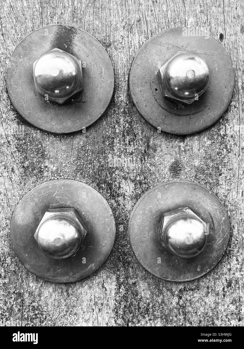 four nuts arranged in a square on a weathered wooden beam Stock Photo