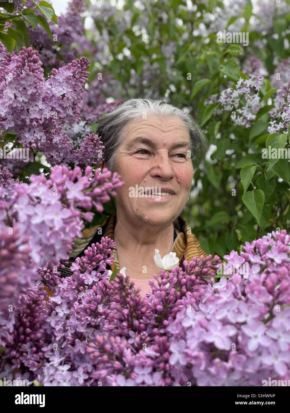 Every Wrinkle Has A Story To Tell Stock Photo Alamy