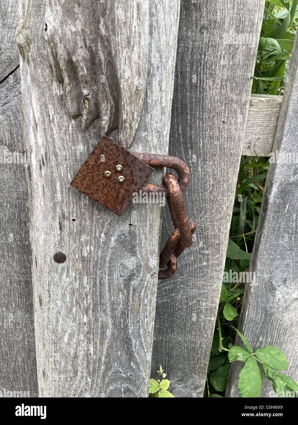A rusty chain is attached to a gray wooden post - Smartphone Captured Stock Image