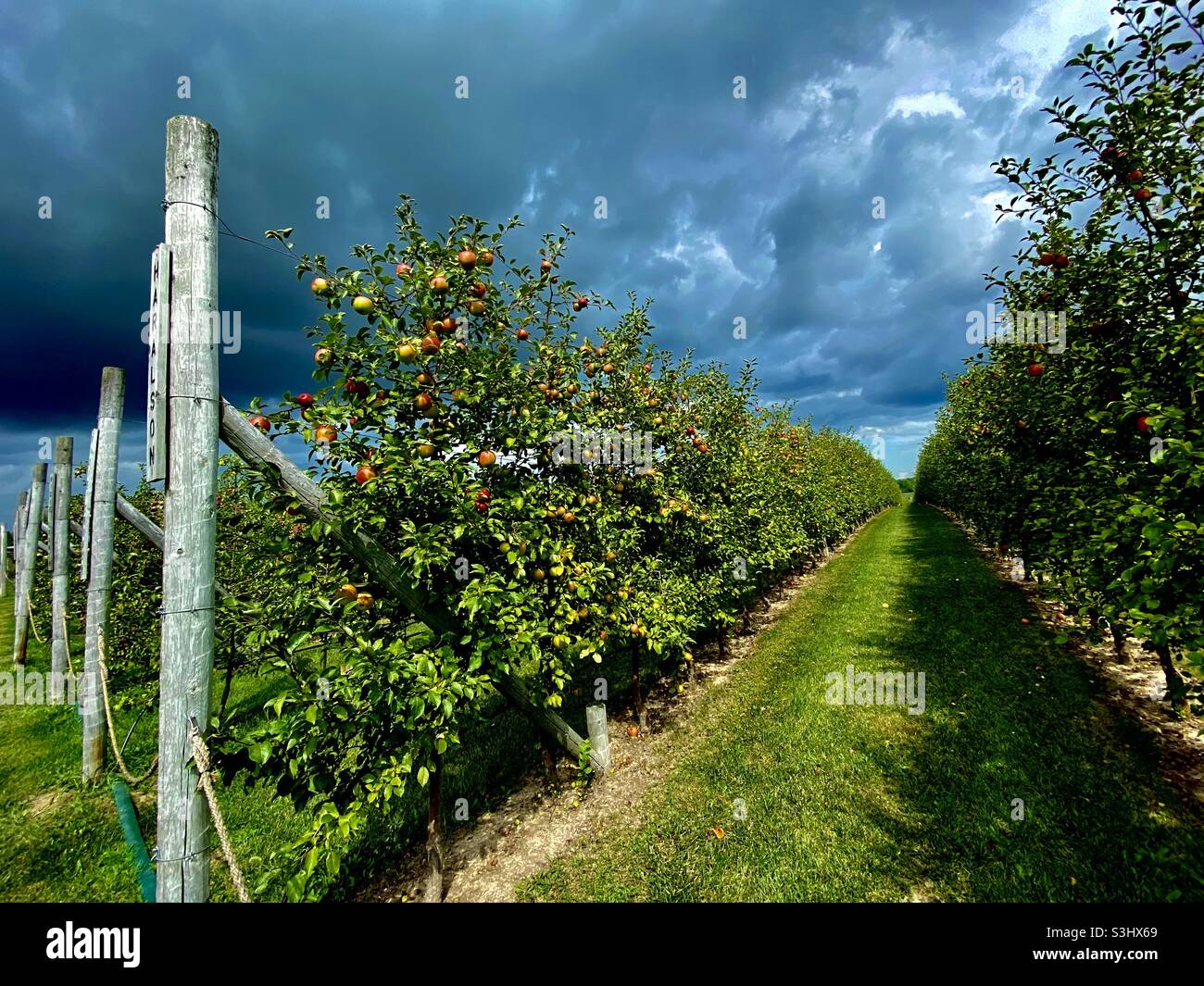 Apple orchard with storm clouds hi-res stock photography and images - Alamy