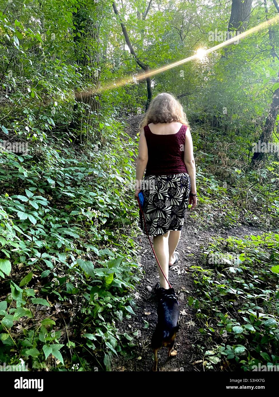 Back of woman walking chihuahua through forest on hiking trail. - Smartphone Captured Stock Image