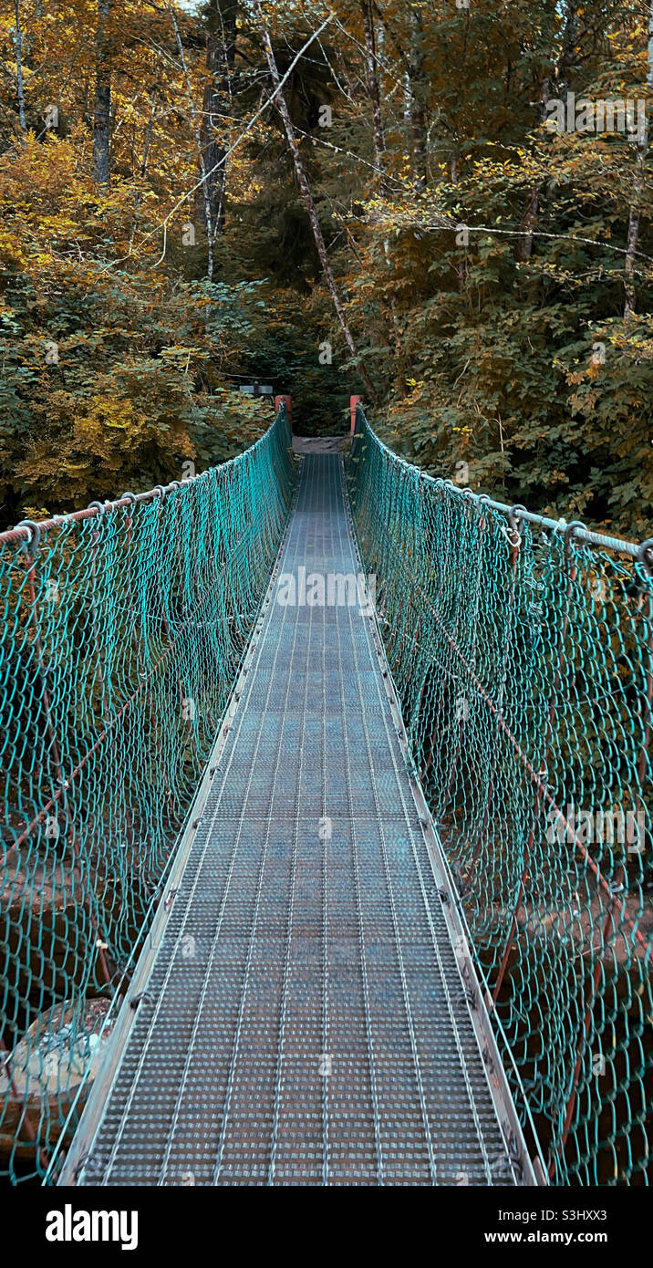 Chain link suspension bridge hires stock photography and images Alamy