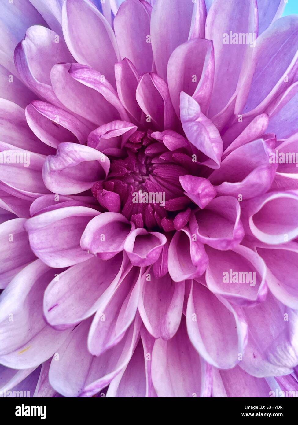 Vibrant nature hi-res stock photography and images - Alamy