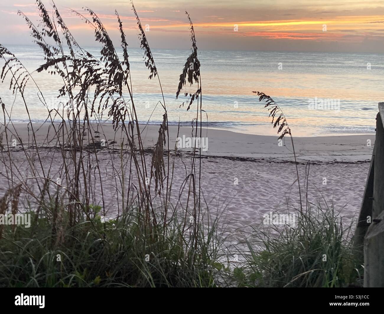 On the beach with Sunrise reflection - Smartphone Captured Stock Image