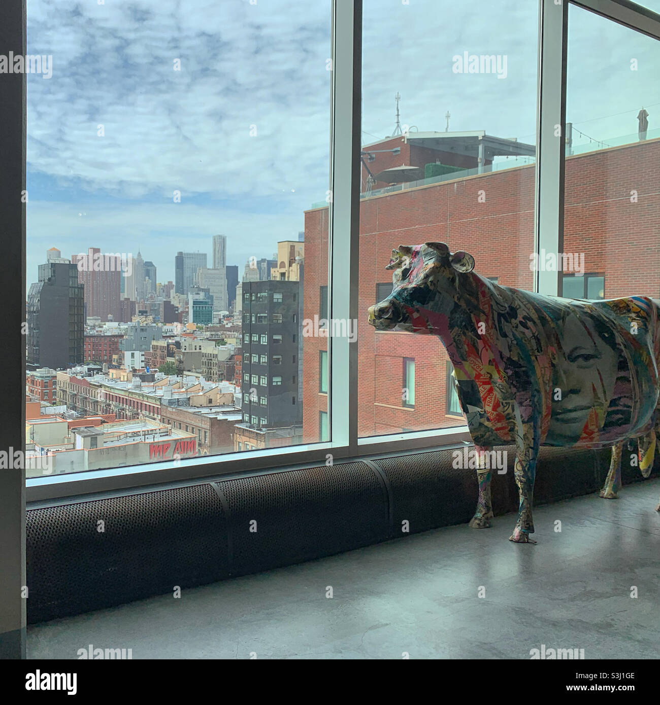 A cow statue in a public area of the Hotel Indigo, Lower East Side, Manhattan, New York, New York, United States - Smartphone Captured Stock Image