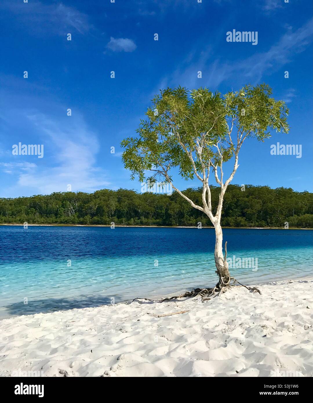 Clear blue water Fraser Island Australia Stock Photo