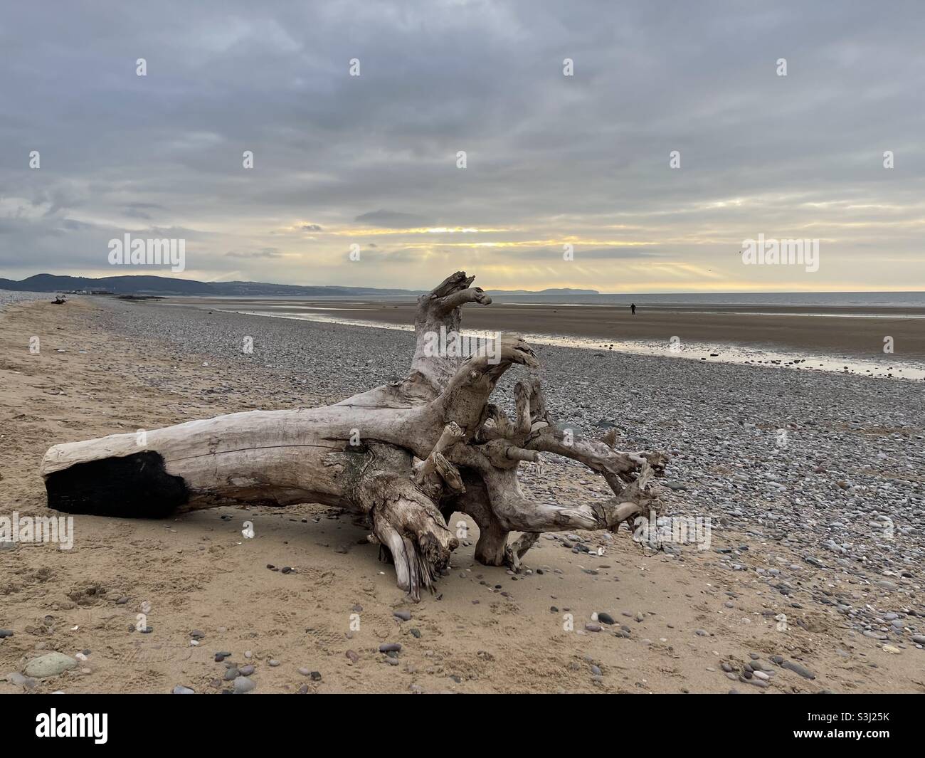 Branch on a beach - Smartphone Captured Stock Image