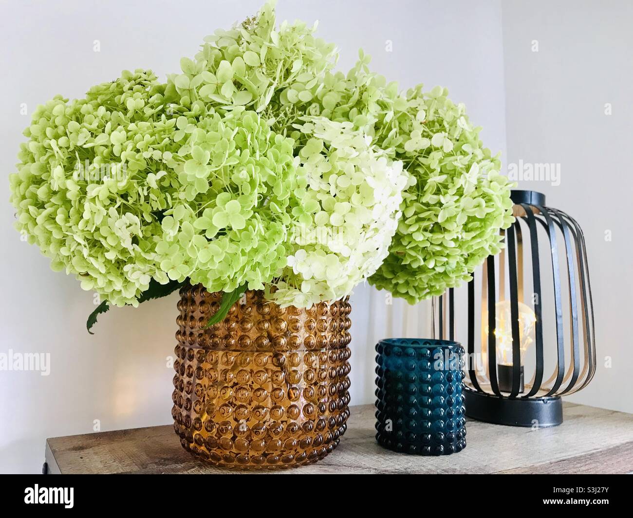 Flowers from the garden Stock Photo Alamy