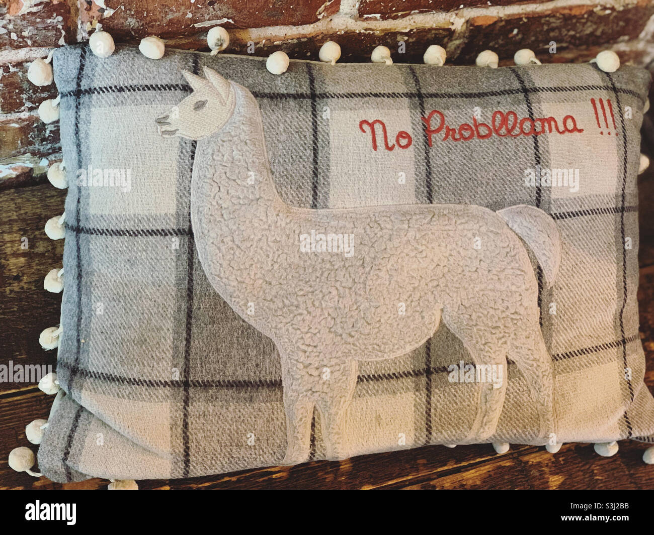 Decor at the Lazy Llama Coffee Bar, East Village, Manhattan, New York, New York, United States - Smartphone Captured Stock Image