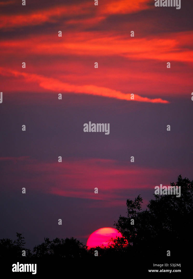 A beautiful romantic sunset. - Smartphone Captured Stock Image