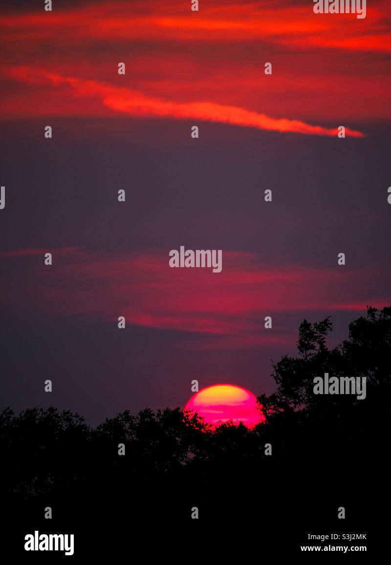 The glow of the setting sun. - Smartphone Captured Stock Image