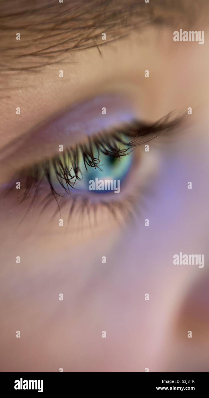 Eyelashes & vivid blue eye Stock Photo Alamy