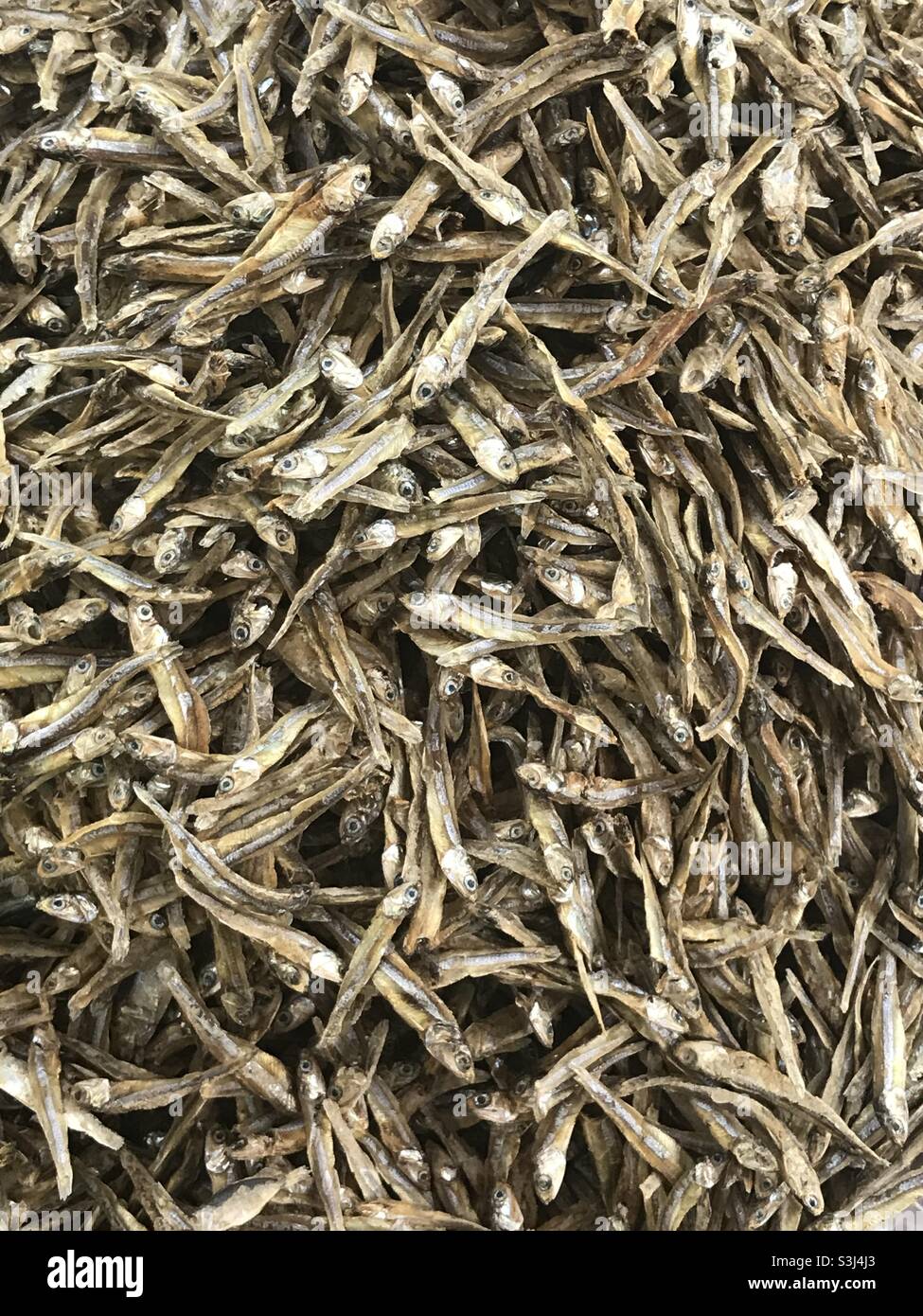 Dry fish at the market - Smartphone Captured Stock Image