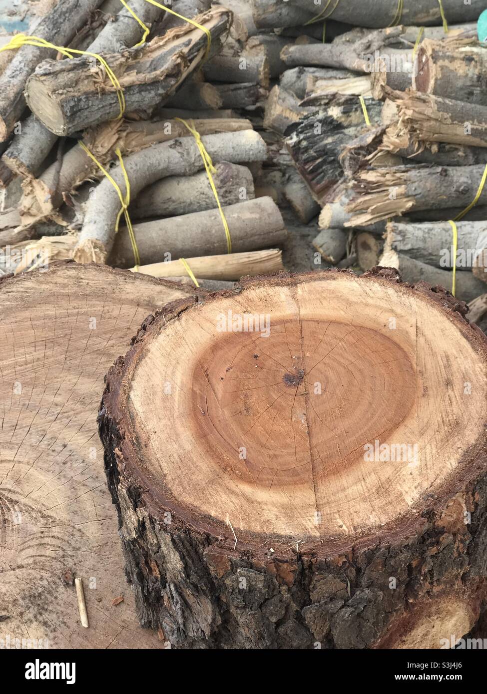 Firewood for sell at the market - Smartphone Captured Stock Image