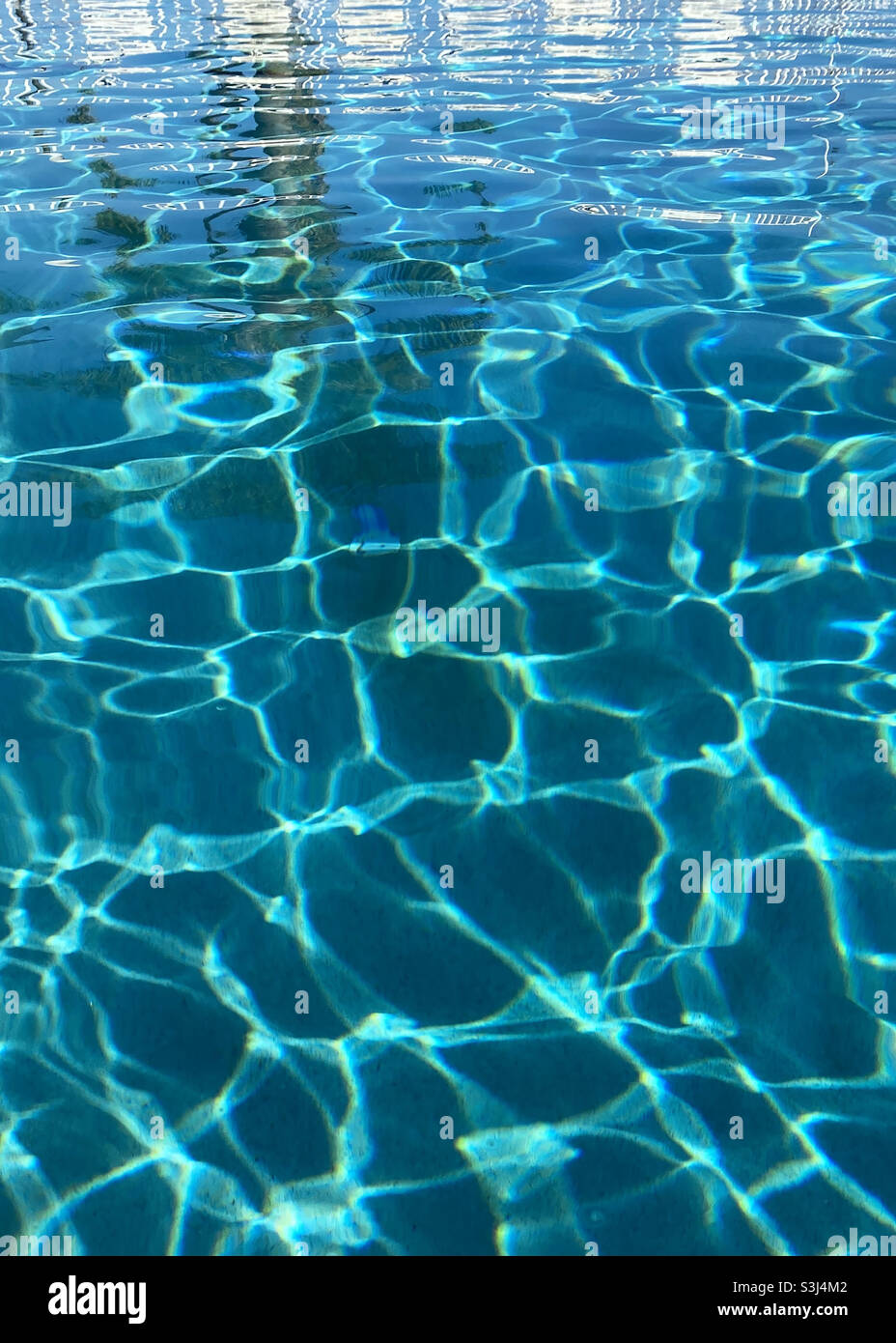 Lounge chair and palm tree reflection in swimming pool - Smartphone Captured Stock Image