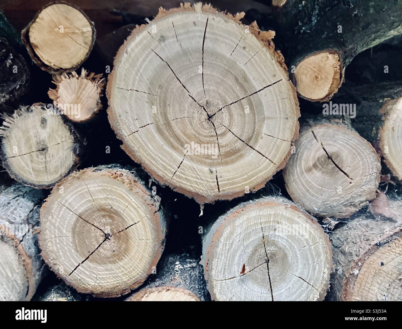 Round stacked firewood - Smartphone Captured Stock Image