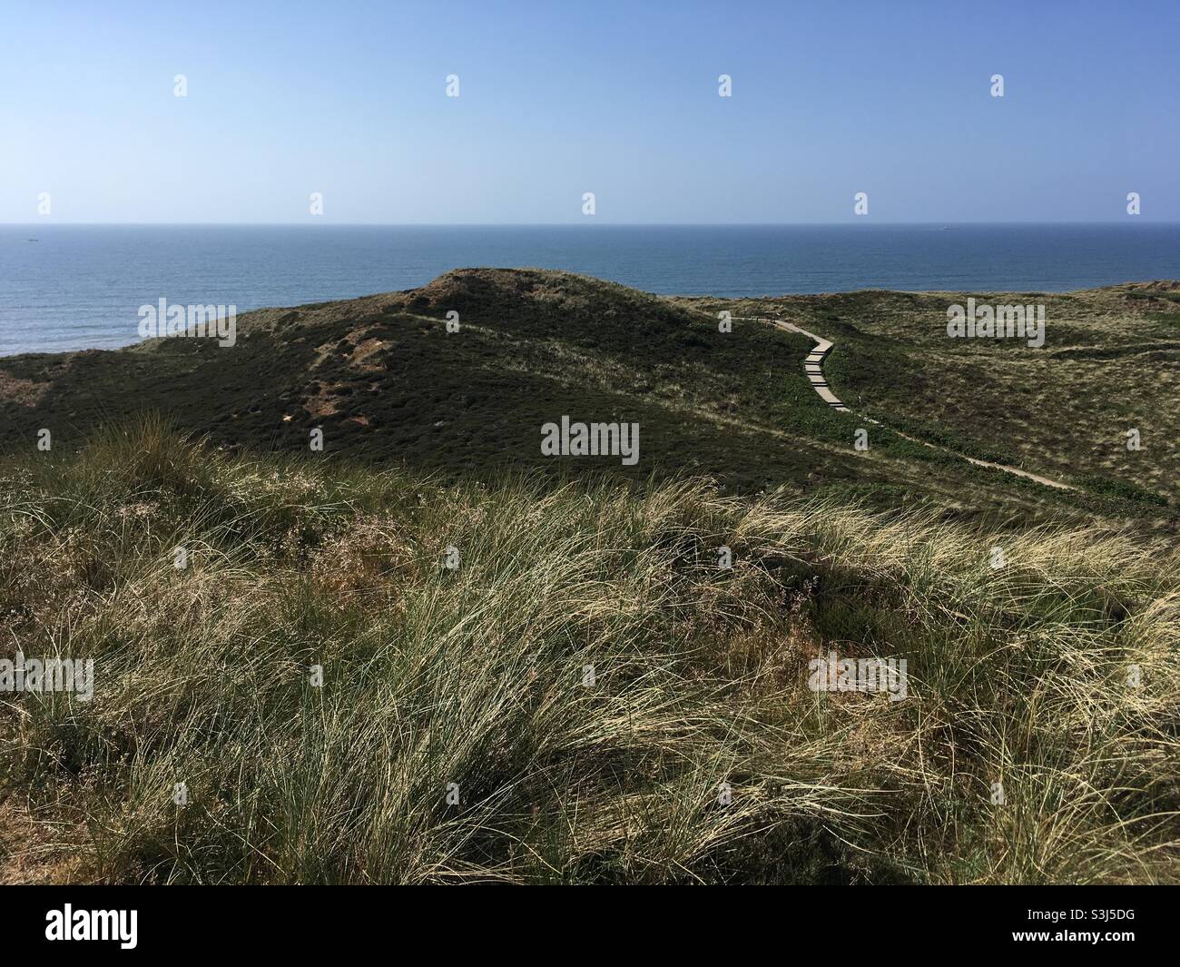Coastal dune landscape near the ocean on the island of Sylt in Northern Germany - Smartphone Captured Stock Image