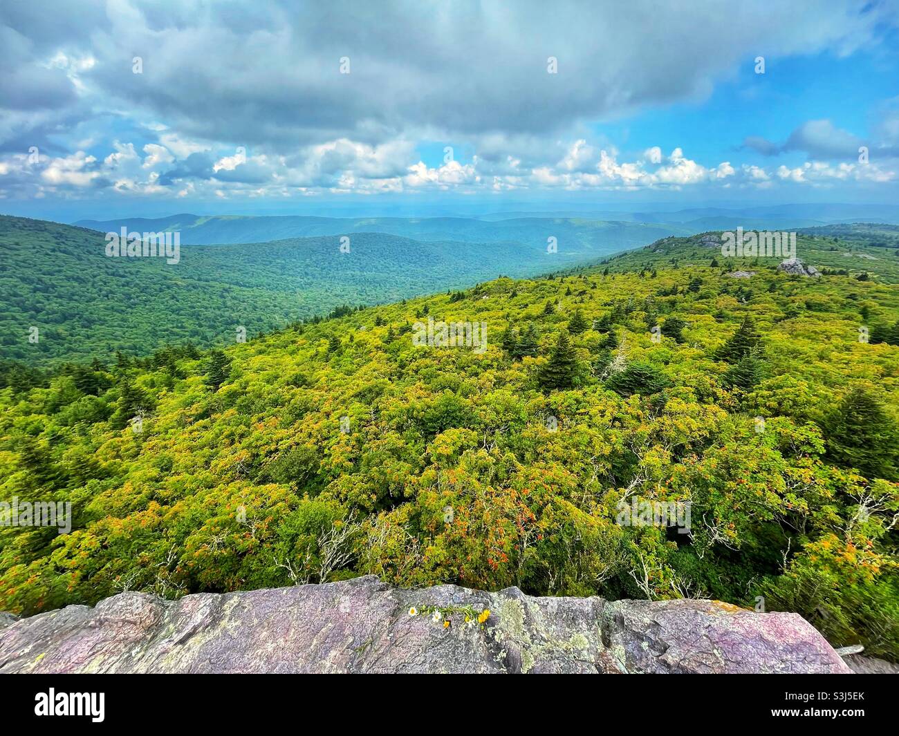 Summertime views along the Appalachian Trail near Mt Rogers and Grayson Highlands in southwest Virginia. Stock Photo