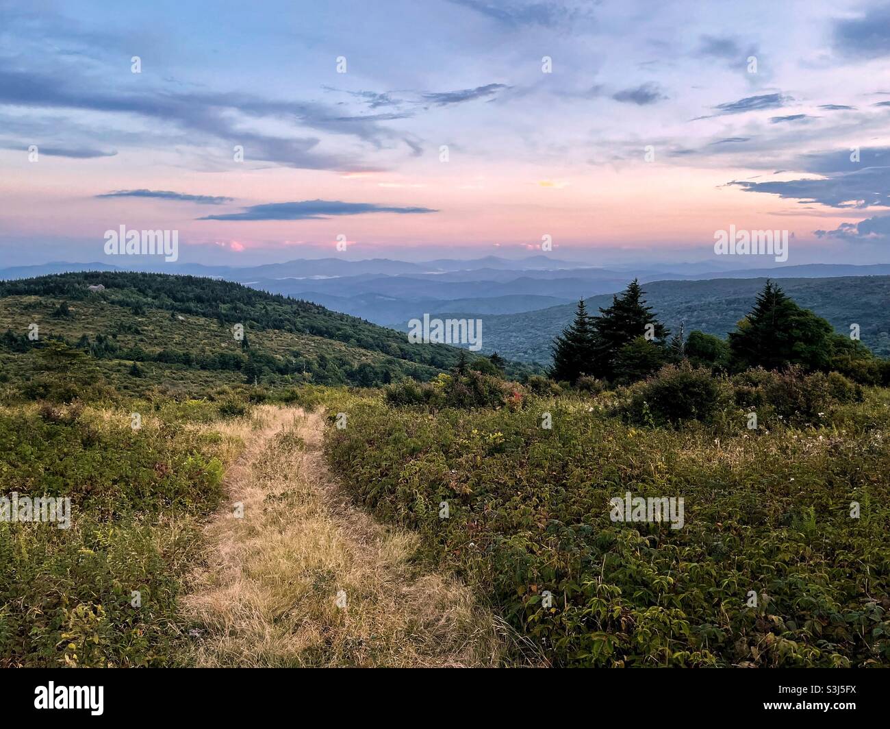 A trail winds up the steep grasslands above Grayson highlands state park in Virginia at sunset. Stock Photo