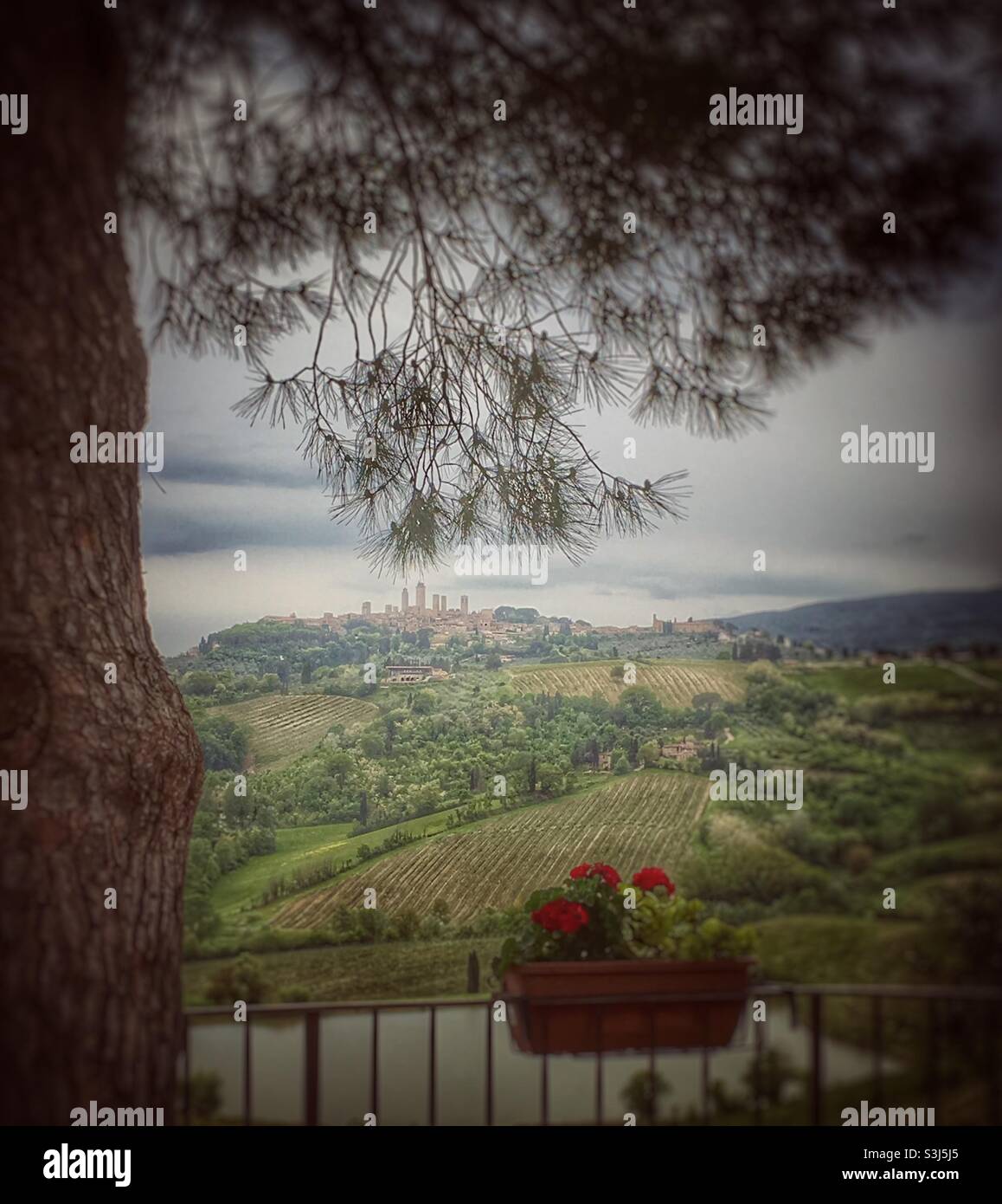 View outside San Gimignano with tree, hills and Italian village in distance. - Smartphone Captured Stock Image