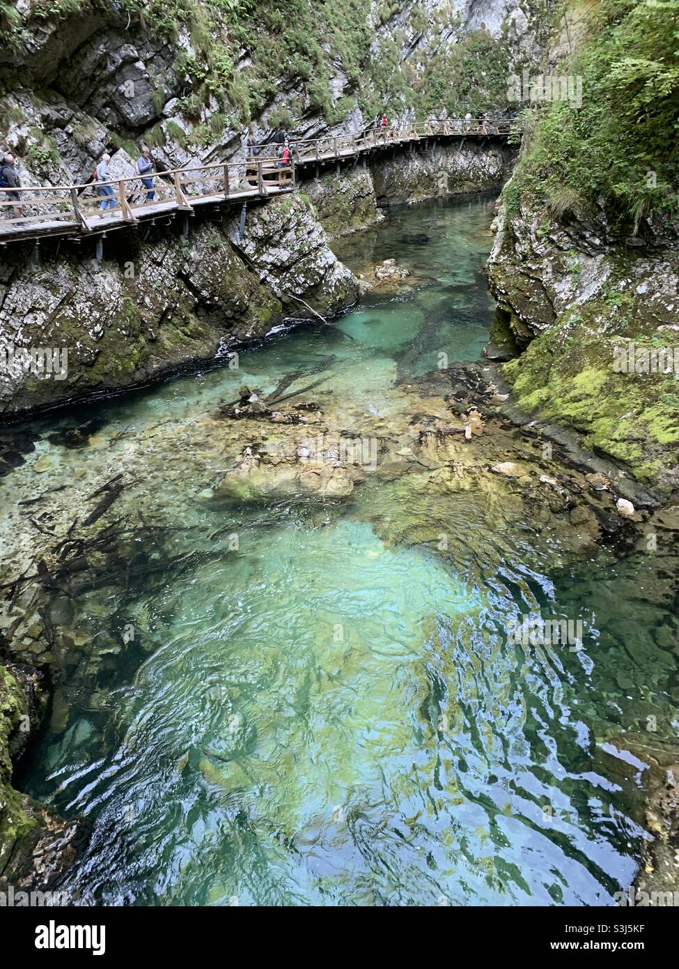 Vintage gorge Slovenia - Smartphone Captured Stock Image