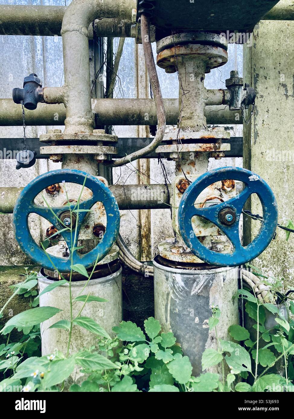 Steam control valves overgrown by plants Stock Photo