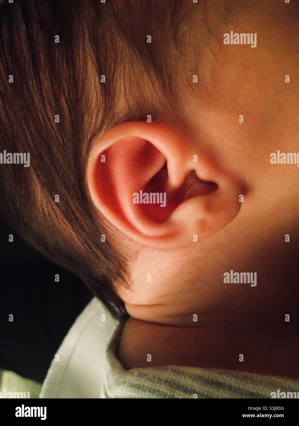 A close up of a newborn baby’s ear Stock Photo Alamy