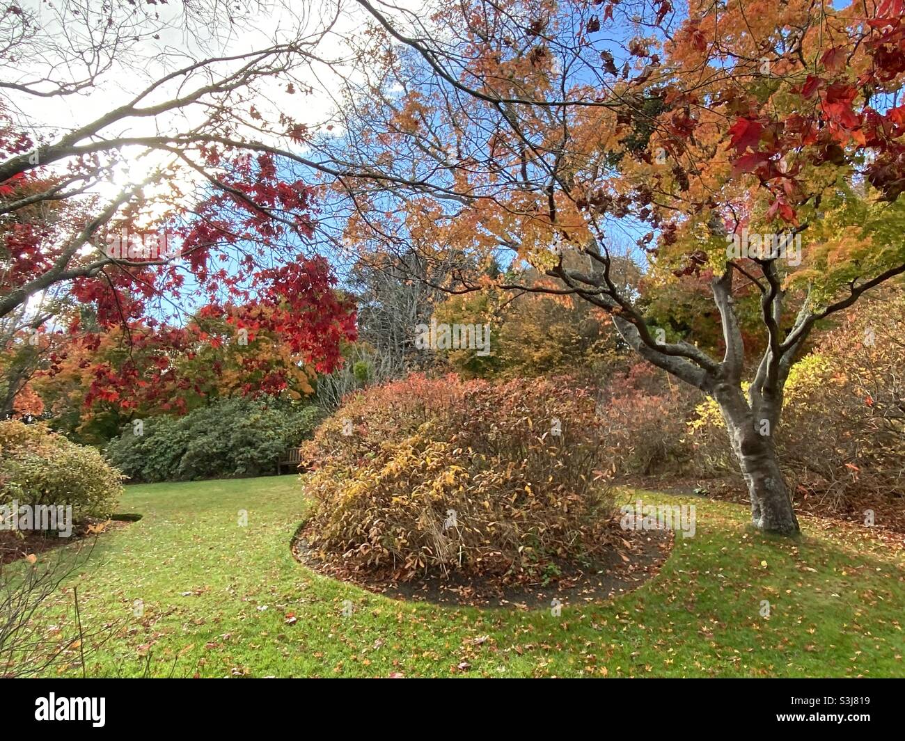 Autumn in Dunedin , New Zealand Stock Photo