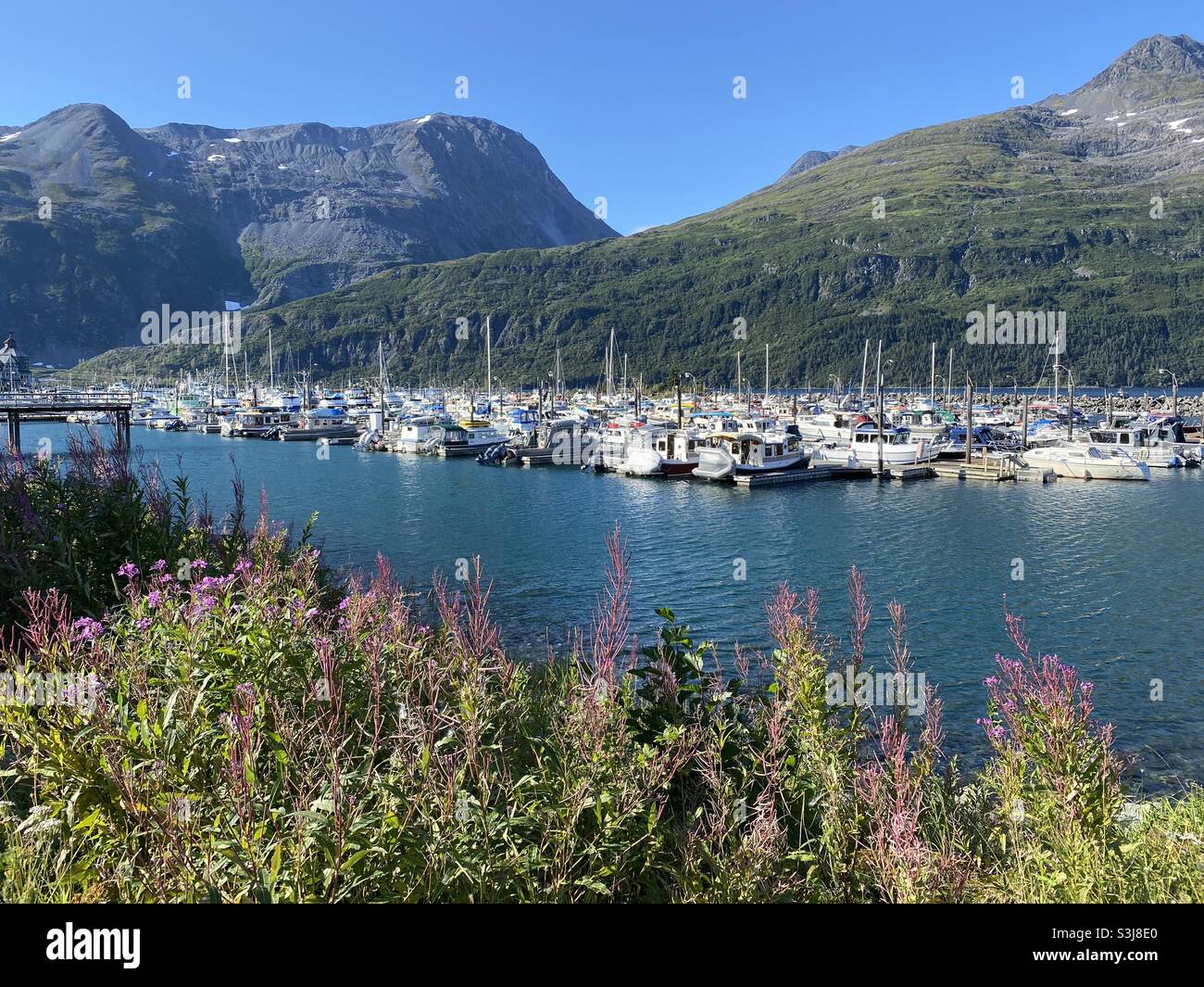 The boat harbor in Whittier Alaska Stock Photo Alamy