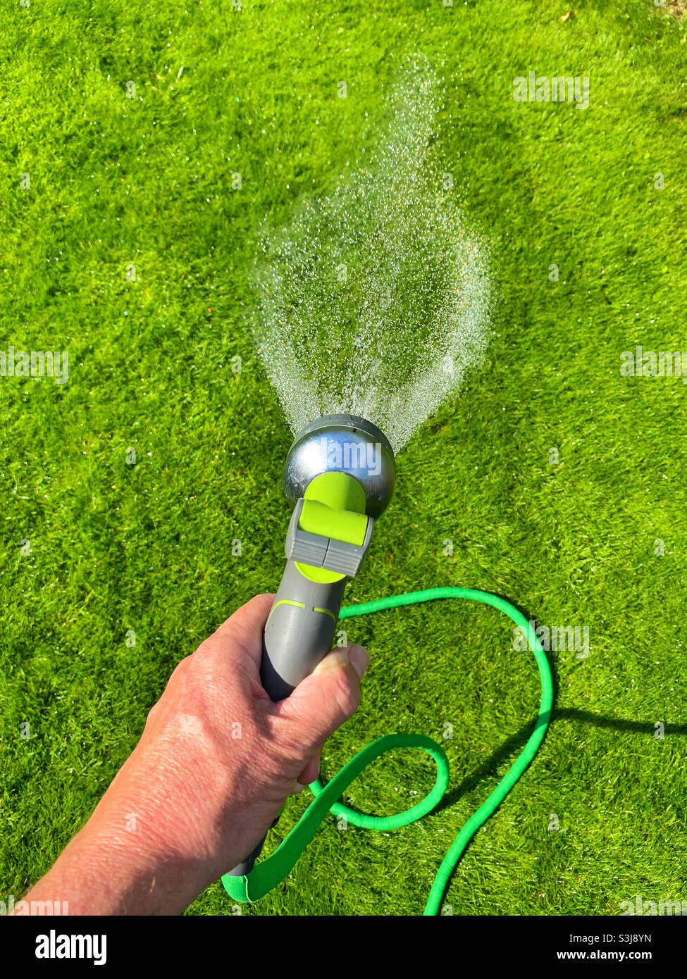 A lush and verdant lawn needs water and sunshine! Watering your lawn is therapeutic and the visual results are positive. Photo ©️ COLIN HOSKINS. - Smartphone Captured Stock Image