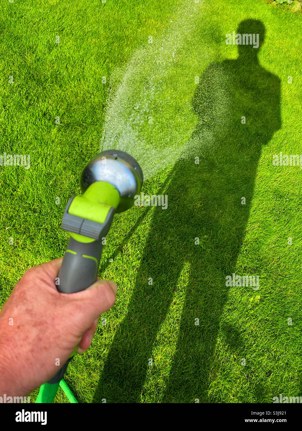 Looking down whilst watering a vibrant green lawn. Summer sunshine helps make this place an inspiration. Photo ©️ COLIN HOSKINS. - Smartphone Captured Stock Image