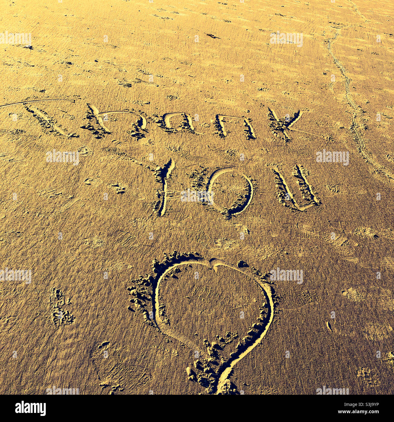 Thank You drawn in sand on the beach Stock Photo - Alamy