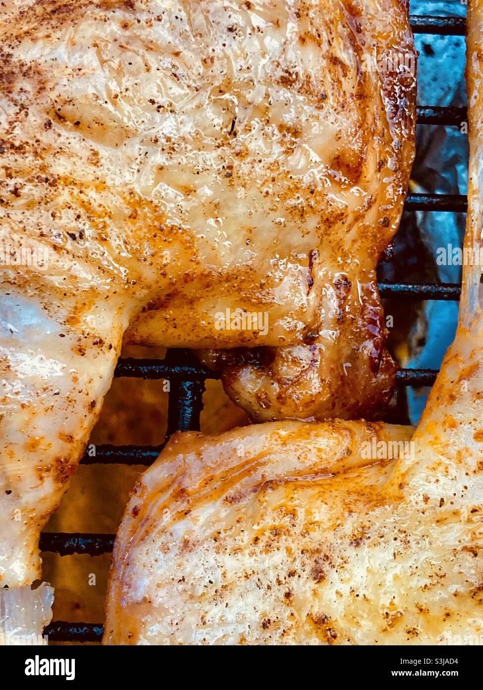 Chicken Barbecue - Smartphone Captured Stock Image
