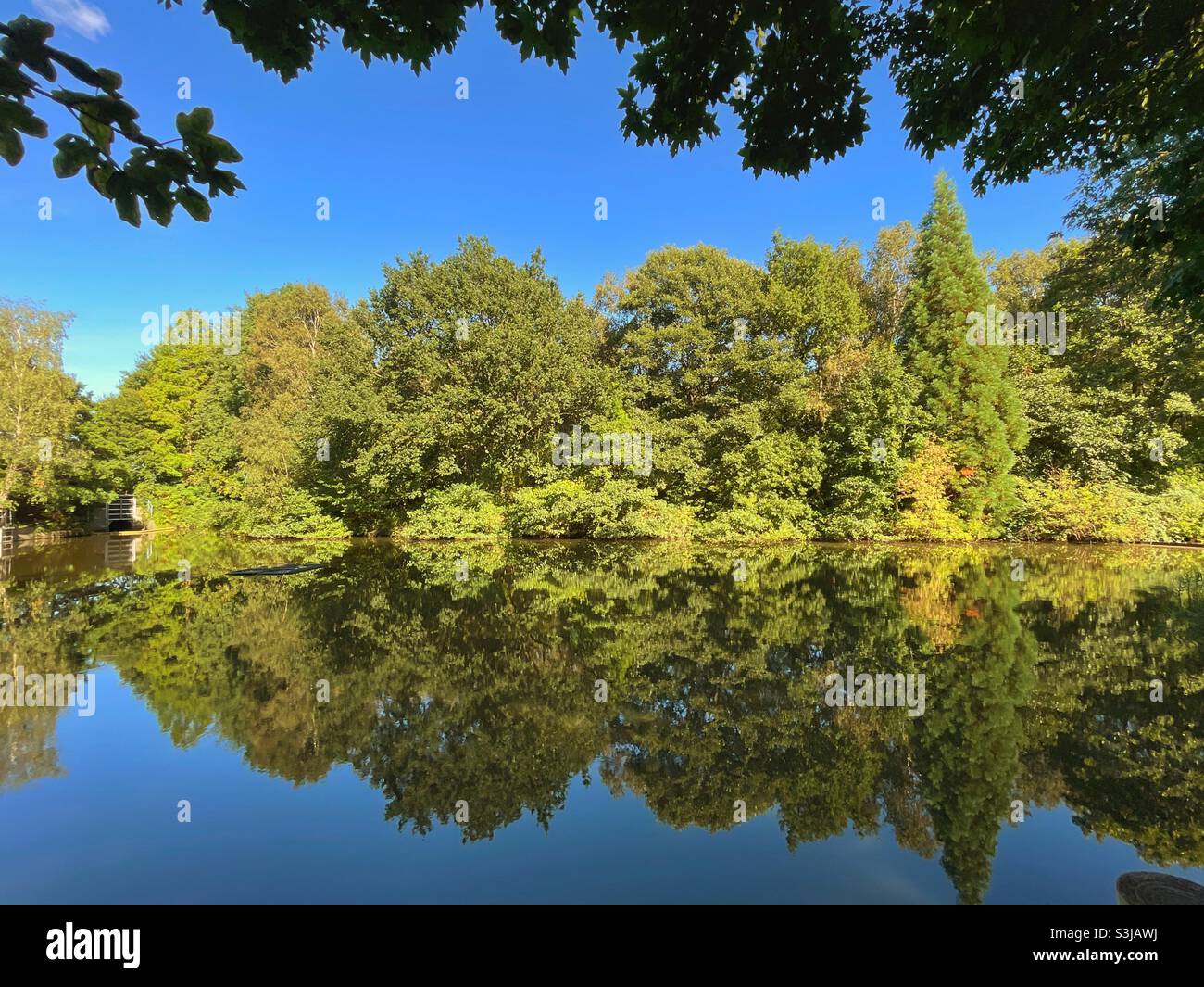 Scenic view of trees reflected in the mirror like surface of a lake Stock Photo