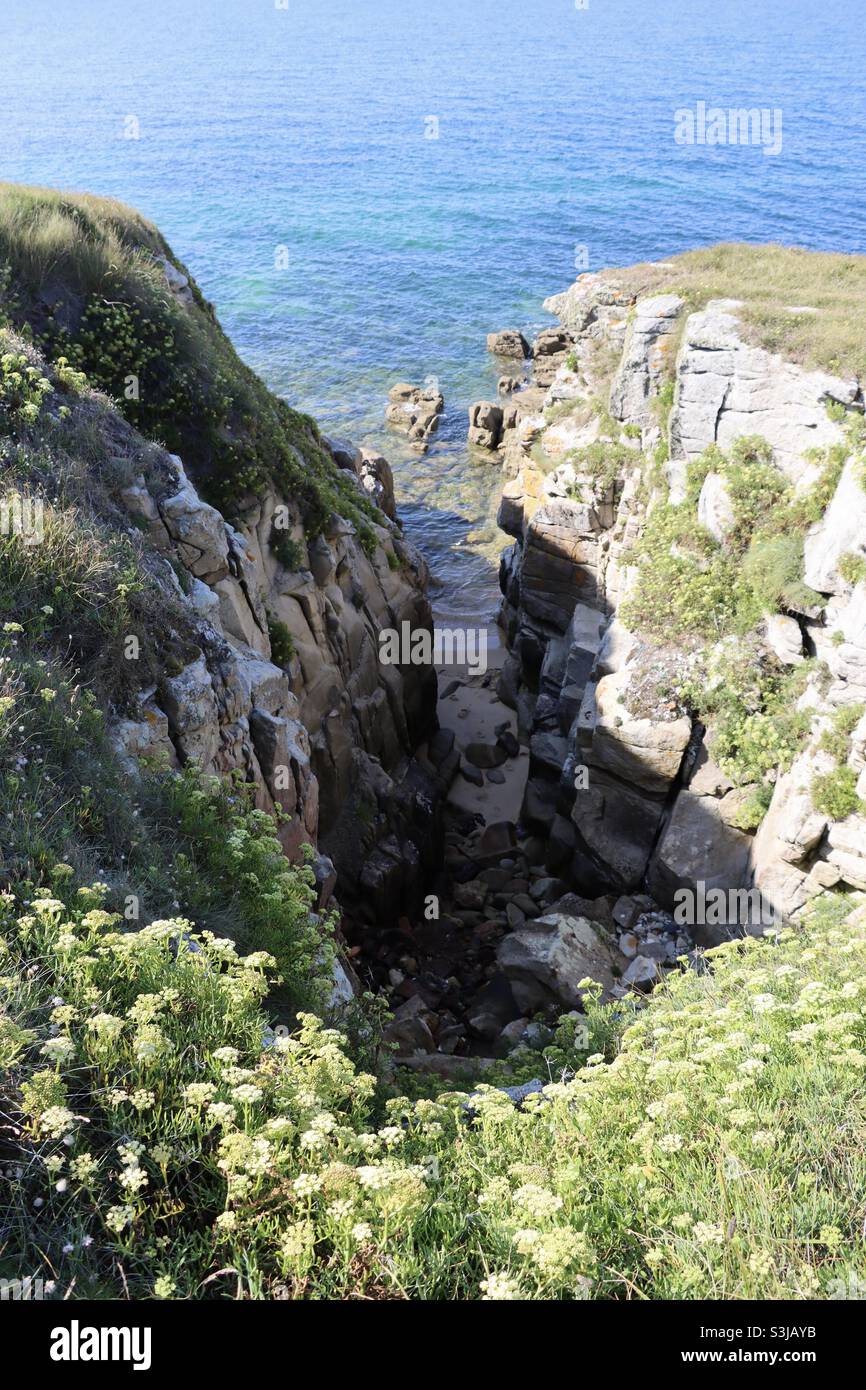 Wild plants and cliffs at the island of Hoedic in Brittany, Morbihan, France Stock Photo