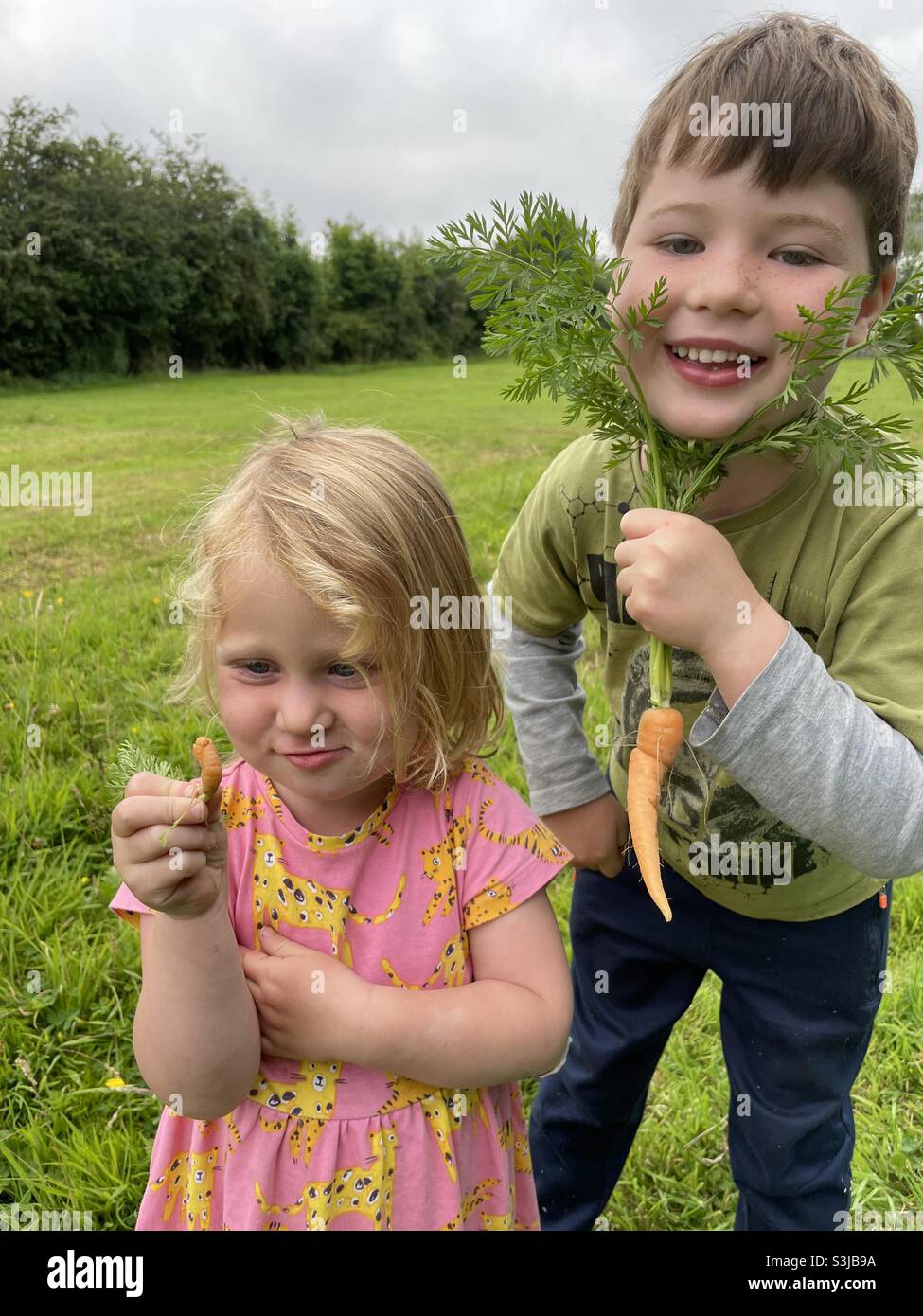 Children vegetables carrots hi-res stock photography and images - Alamy