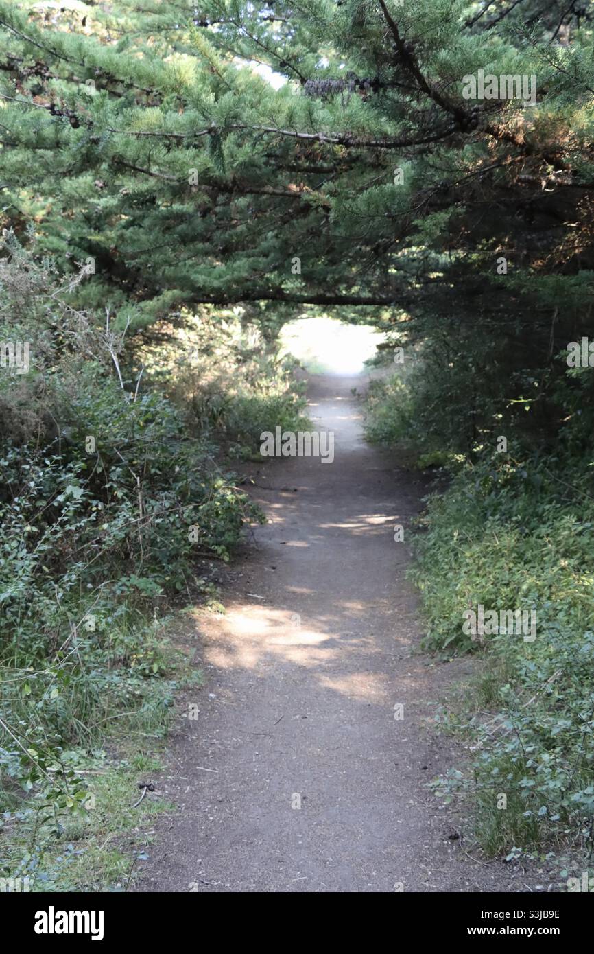 Light pathway hi-res stock photography and images - Alamy