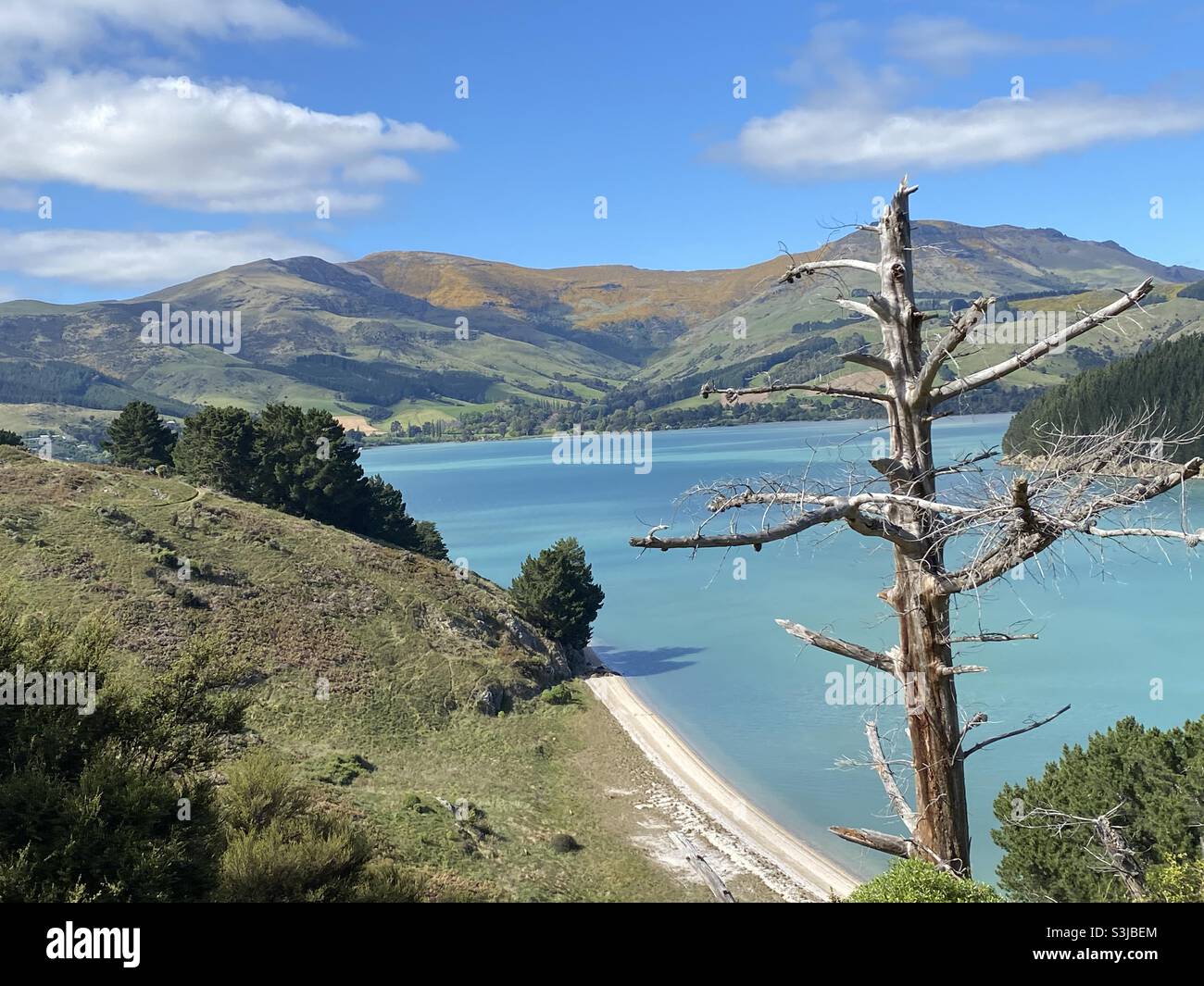 Quail Island ,Lyttelton Harbour ,New Zealand Stock Photo Alamy