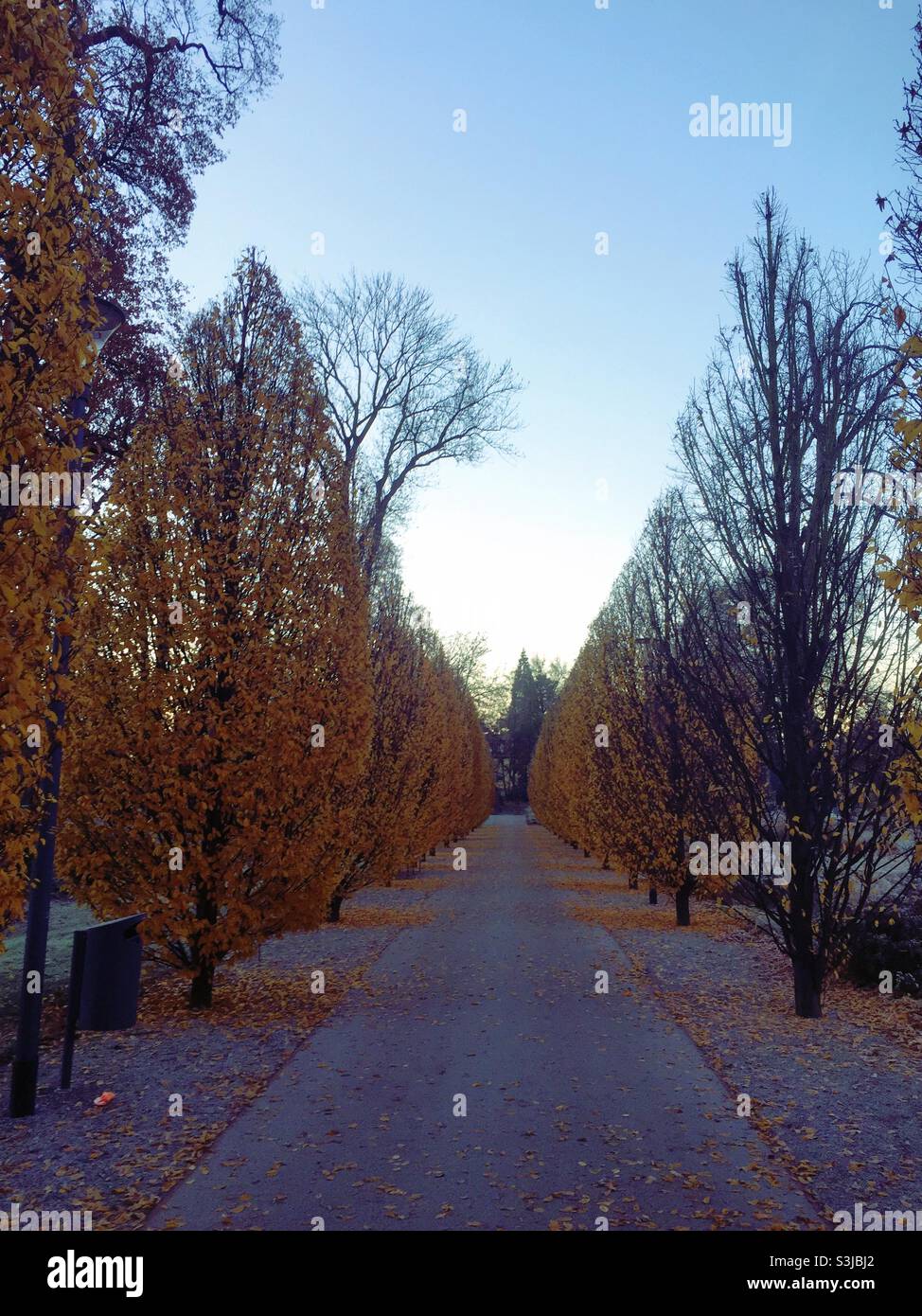 Alley in the morning light - Smartphone Captured Stock Image